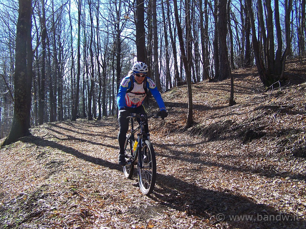 104_5385.JPG - .......