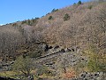 DSCN3428