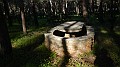 DSCN8754