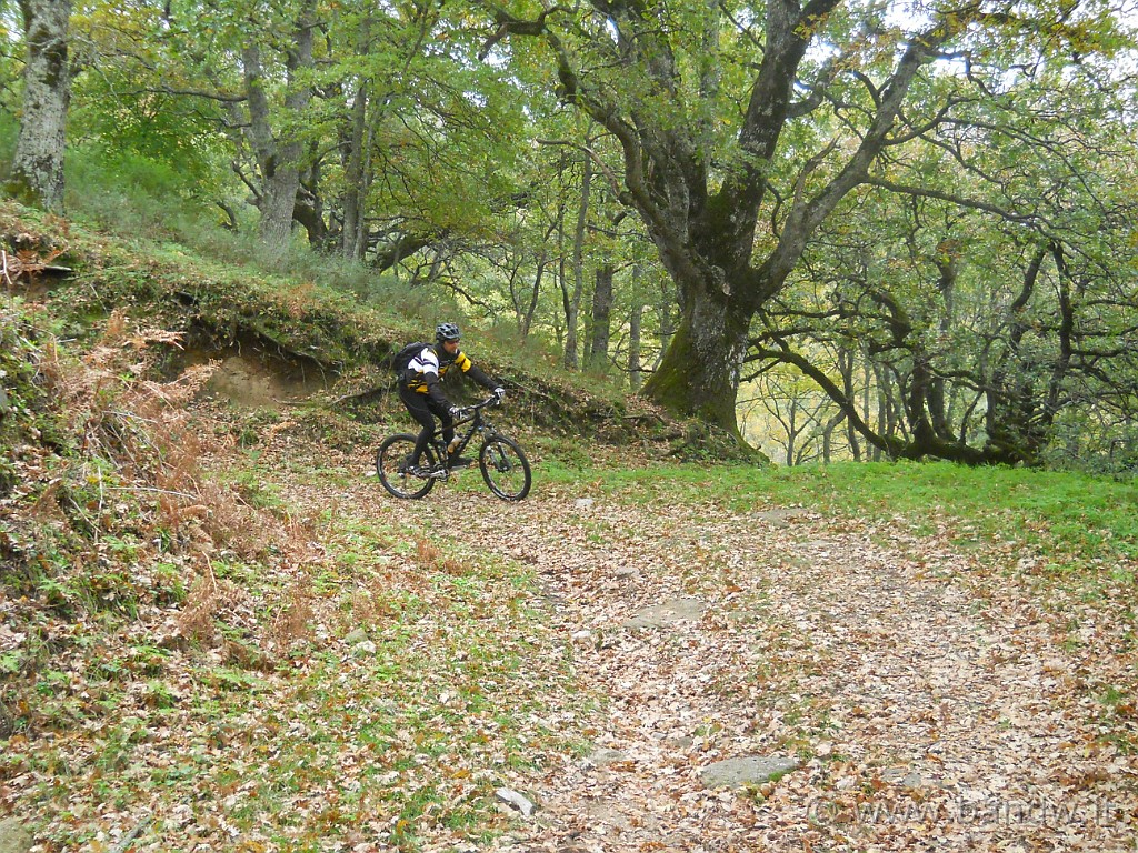 DSCN2241.JPG - .........