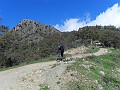SDC10345