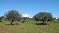 DSCN1082