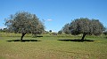 DSCN1086