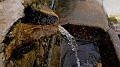 DSCN0788