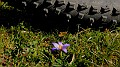 DSCN0800