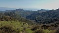 DSCN0805-01