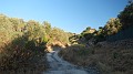 DSCN1458