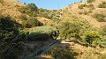 DSCN1460