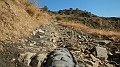 DSCN1466