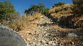 DSCN1469