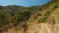 DSCN1482