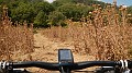 DSCN1483