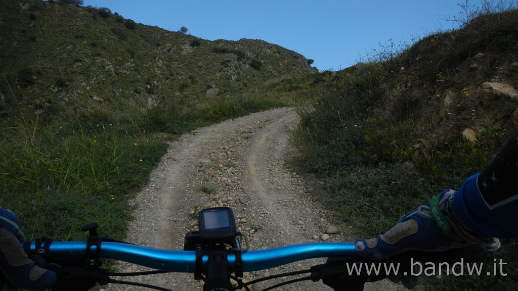 DSCN8173.JPG -                                