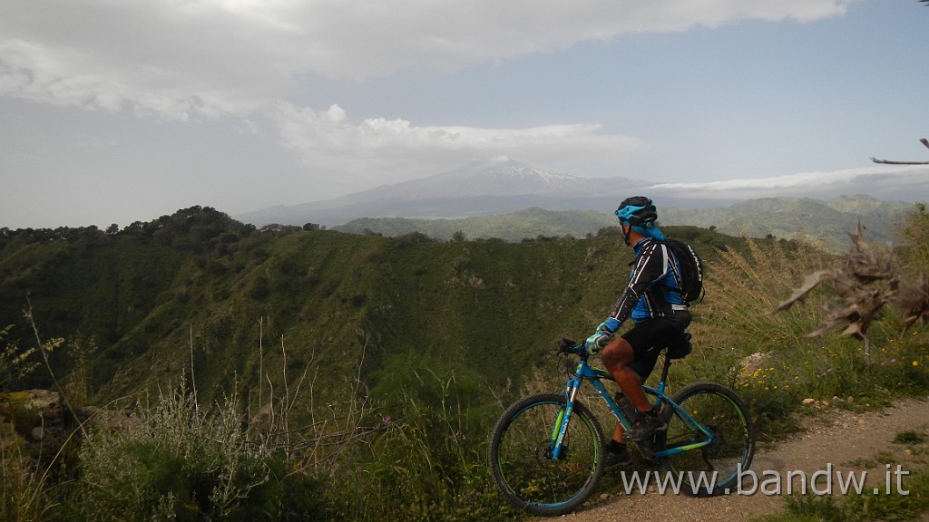 DSCN8176.JPG -                                