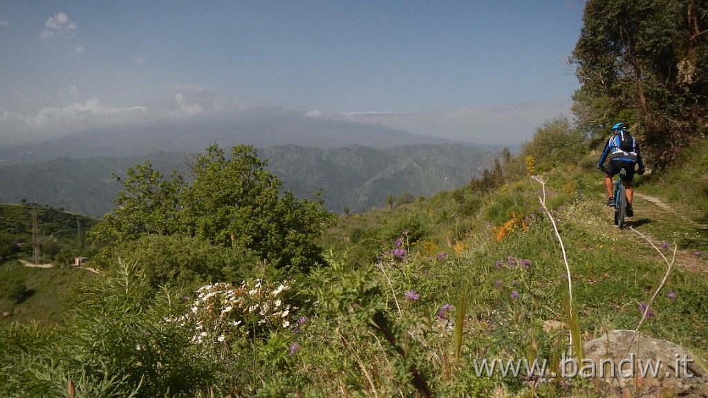 DSCN8186.JPG -                                