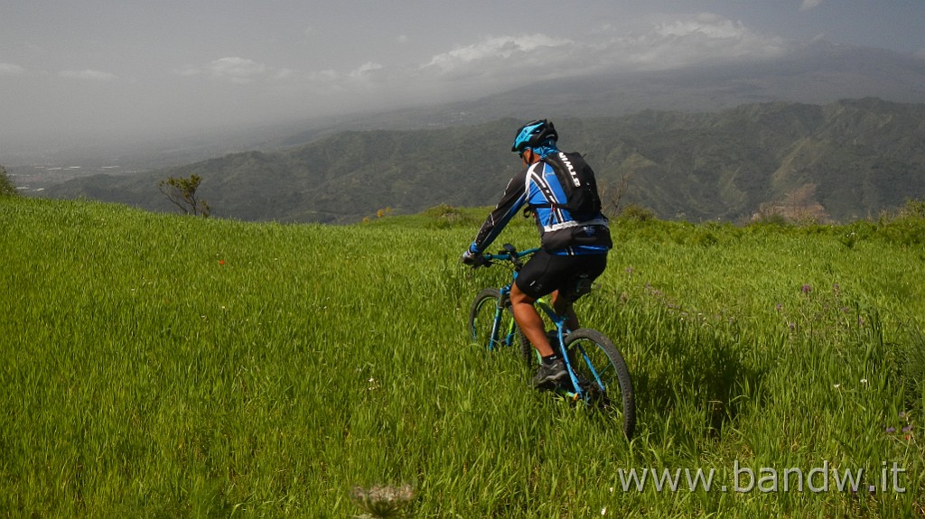 DSCN8190.JPG -                                