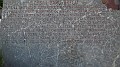 DSCN8179