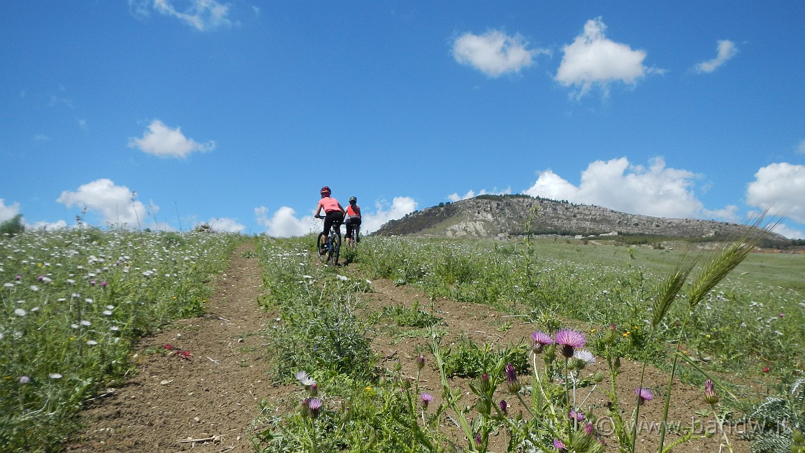 DSCN1930.JPG -                                