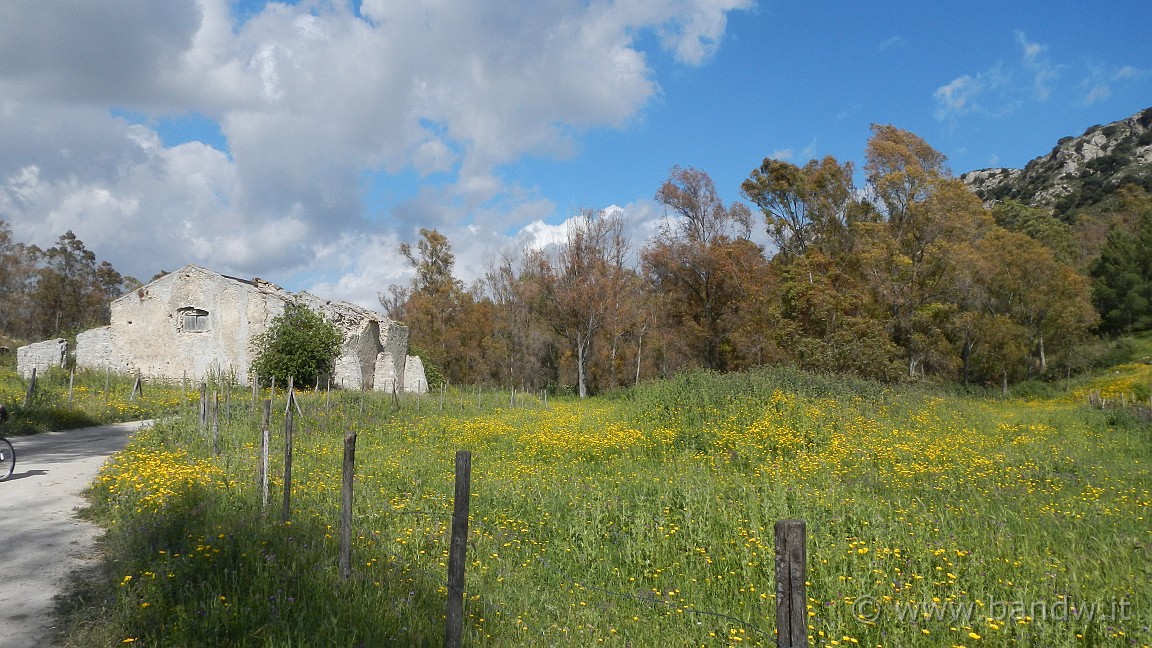 DSCN1956.JPG -                                
