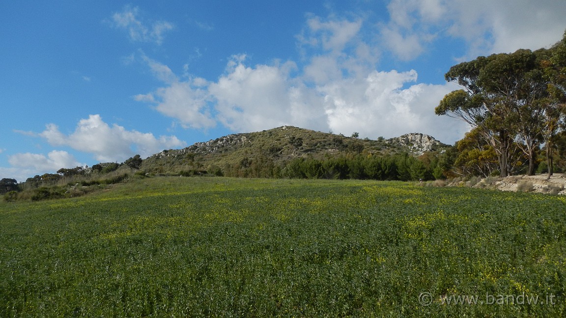 DSCN1977.JPG -                                