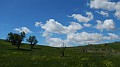 DSCN1866