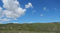 DSCN1868