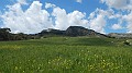DSCN1881