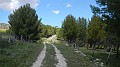 DSCN1883