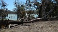 DSCN1893