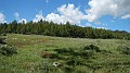 DSCN1902