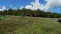 DSCN1904