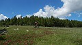 DSCN1911