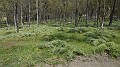 DSCN1945