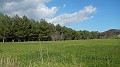 DSCN1960