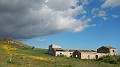 DSCN1990