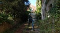 DSCN7517