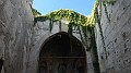 DSCN7520