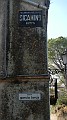DSCN7527