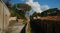 DSCN7531