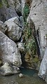 DSCN7533-01