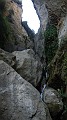DSCN7534