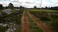 DSCN8154