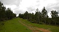 DSCN8166