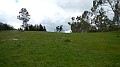 DSCN8192