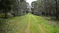 DSCN8215