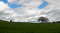 DSCN8223