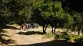 DSCN3774