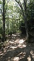 DSCN3779