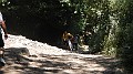 DSCN3780