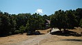 DSCN3783
